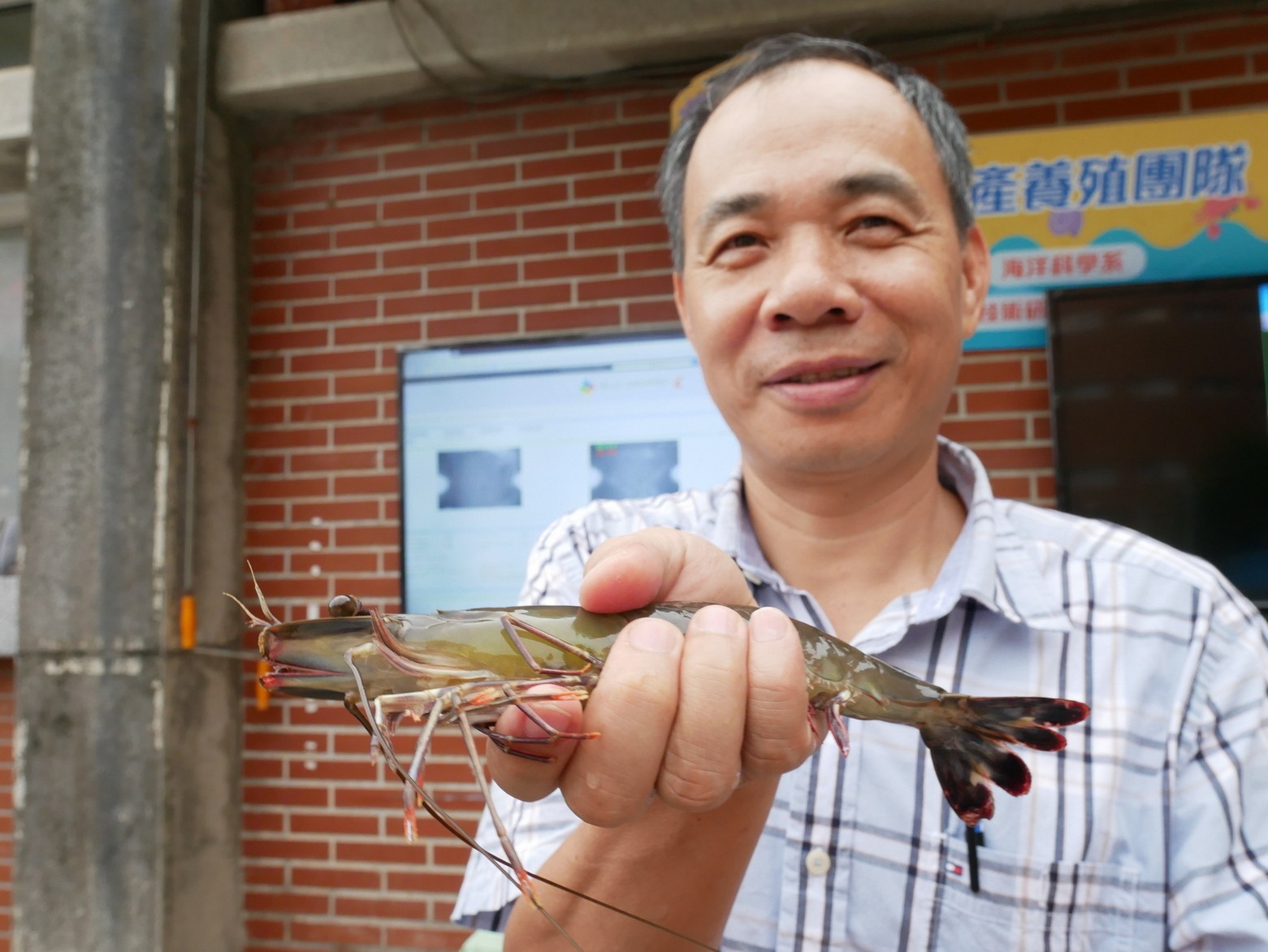 中山大學海洋科學系洪慶章教授養出身形肥美的鮮甜AI蝦,團隊以新科技導入傳統養殖協助.jpg