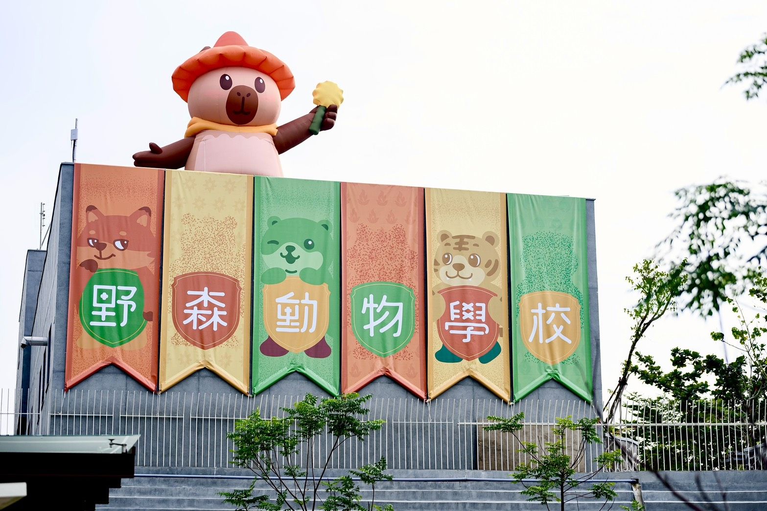 與樹懶共餐！11.5公頃內門野森動物學校1/17試營運