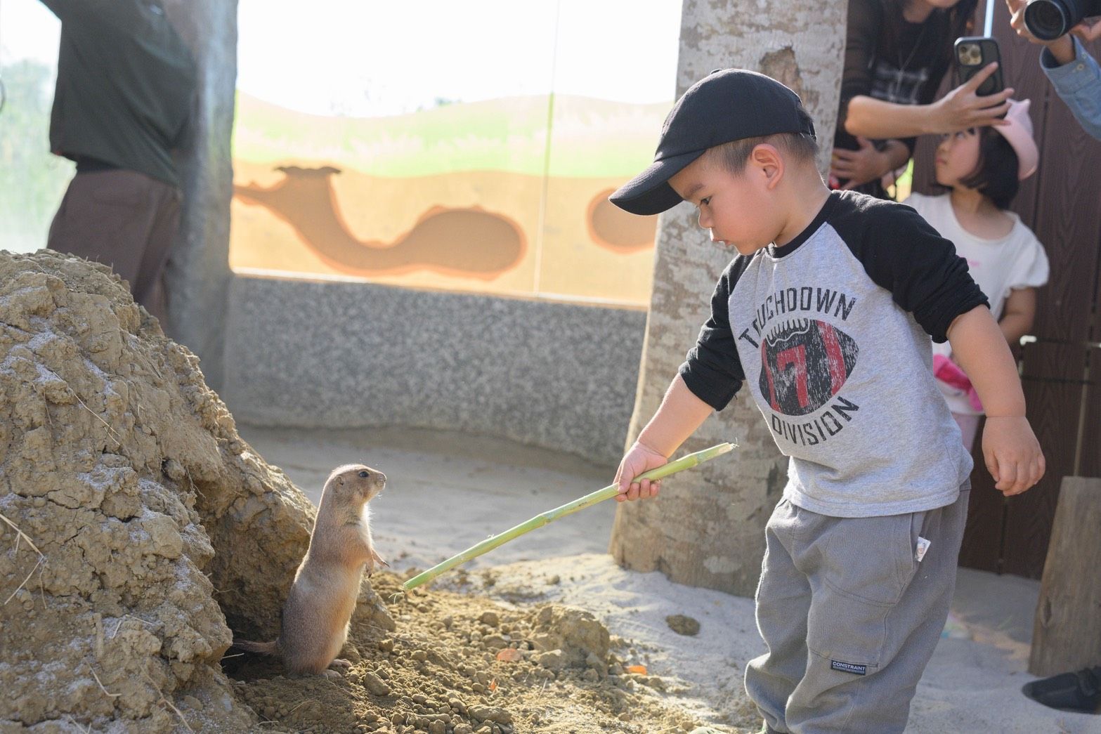 與樹懶共餐！11.5公頃內門野森動物學校1/17試營運