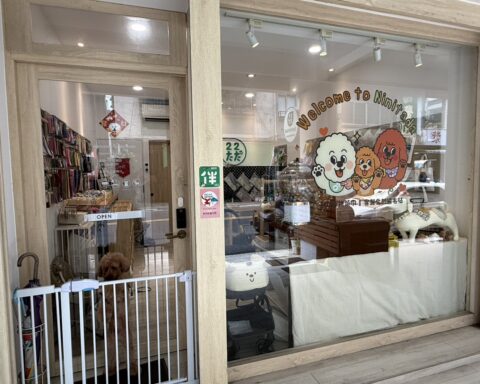 短影音觸及暴衝！青年攤車輔導計畫助7成業者營收有感提升